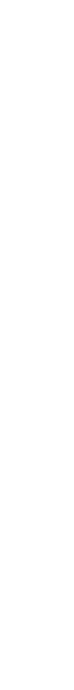Film Strip